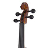 Cecilio CVN-300 Solidwood Ebony Fitted Violin with D'Addario Prelude Strings (Size 4/4 (Full Size), Varnish)