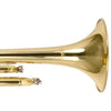 Mendini by Cecilio Gold Brass Standard Bb Trumpet with Hard Case, Gloves, 7C Mouthpiece, and Valve Oil