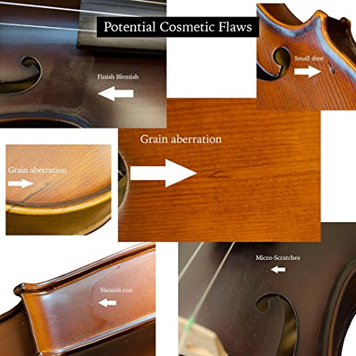 Bunnel Premier Violin Clearance Outfit 4/4 Full Size - Carrying